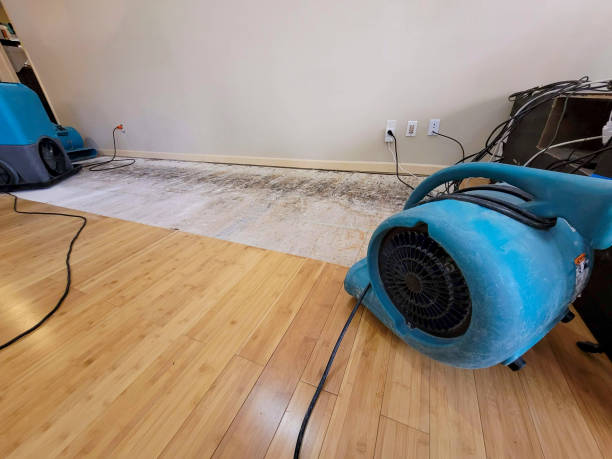 Professional Water Damage Repair technician working in Chatham, VA